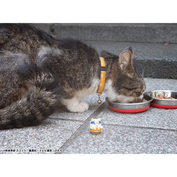 MEGA CAT PROJECT NARUTO-ナルト- ニャルト！サスケく～んこっちにいらっしゃ～い編