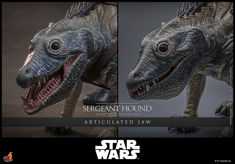 【テレビ・マスターピース】『スター・ウォーズ/クローン・ウォーズ』1/6スケールフィギュア サージェント・ハウンド