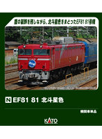 3066-E EF81 81 北斗星色