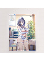 アズールレーン 描き下ろしB2タペストリー(ピッツバーグ/ナース)Wスエード