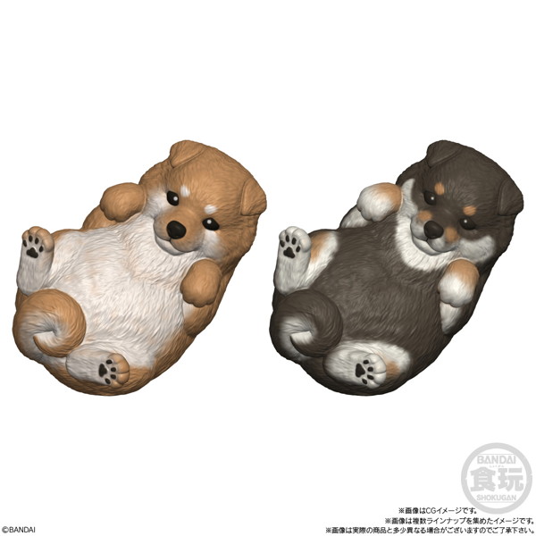 もっちりころりん♪おいぬ （全8種） 1BOX:12個入