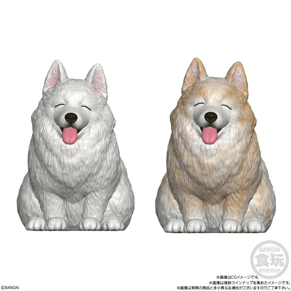 もっちりころりん♪おいぬ （全8種） 1BOX:12個入