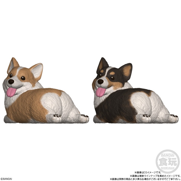もっちりころりん♪おいぬ （全8種） 1BOX:12個入