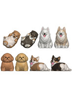 【BOX販売】もっちりころりん♪おいぬ (全8種) 1BOX:12個入