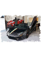 Lamborghini Aventador LP750-4 SV Roadster 2015 ブラック/イタリアンストライプ