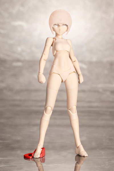 B1R-M シャーシキット スキンカラーC