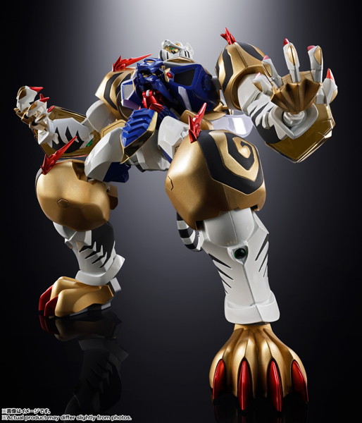 超合金魂 スーパーロボット大戦 GX-119 龍虎王/虎龍王