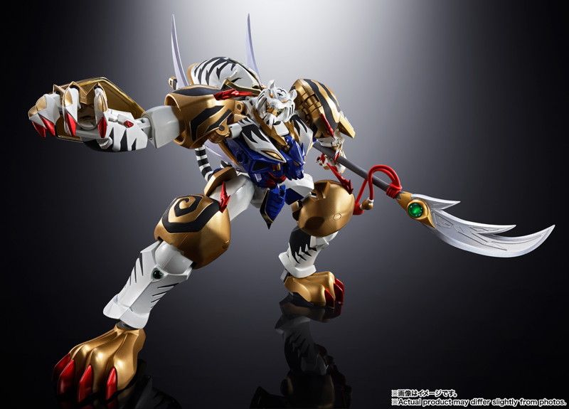 超合金魂 スーパーロボット大戦 GX-119 龍虎王/虎龍王