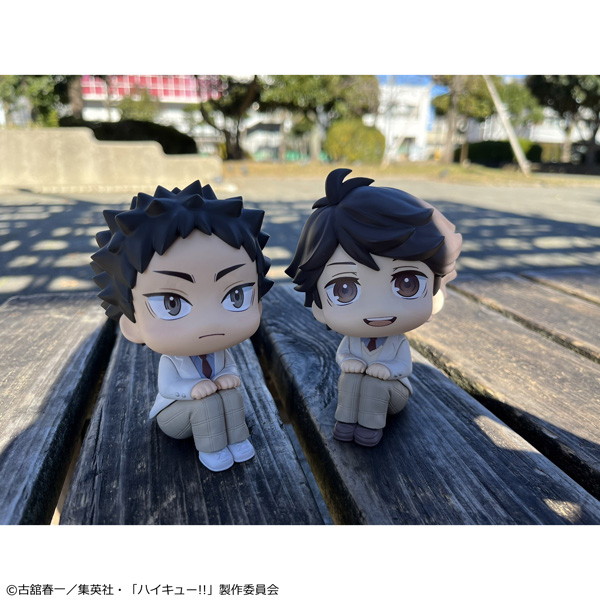るかっぷ ハイキュ―！！ 岩泉 一