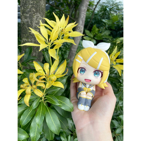 るかっぷ 鏡音リン