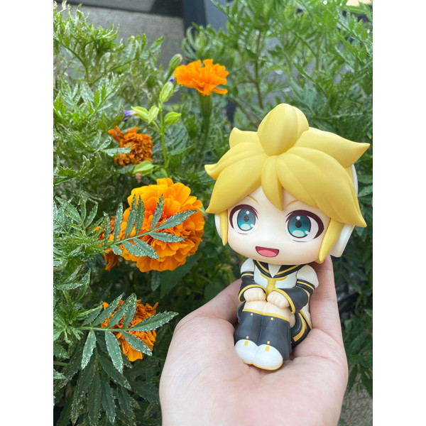 るかっぷ 鏡音レン