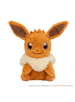 おうちにポケモン EIEVUI