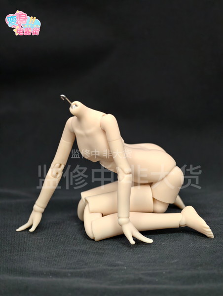 変身電器街 1/6スケール 植毛タイプ BJD ブラインドドール （全6種＋1） 1BOX:6個入