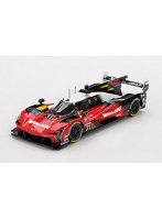 キャデラック Vシリーズ. R IMSA デイトナ24時間 2025 #31 CADILLAC WHELEN