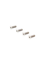 M3x10mm MCチタンフラットヘッドスクリュー（4個）