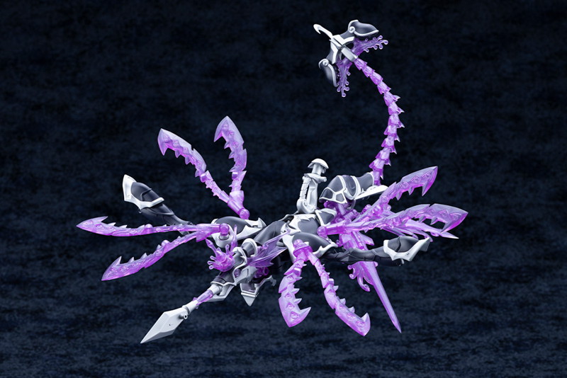 ゼノアルマ タイダル オルケートス