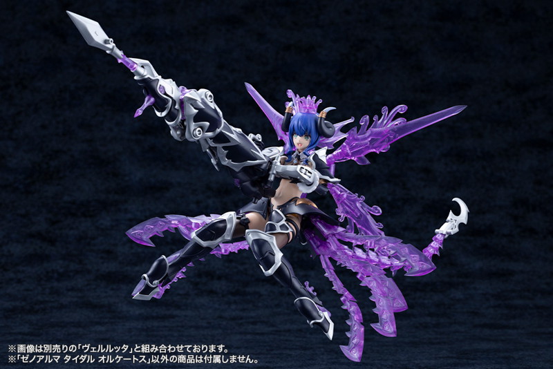 ゼノアルマ タイダル オルケートス