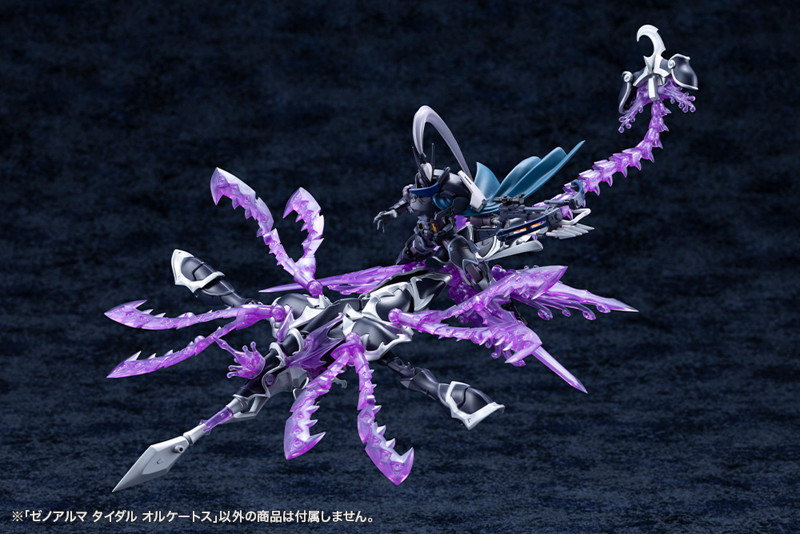ゼノアルマ タイダル オルケートス