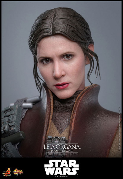 【ムービー・マスターピース】『スター・ウォーズ エピソード6/ジェダイの帰還』1/6スケールフィギュア レイア・オーガナ（ブーシ）