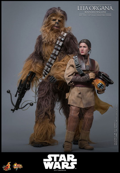 【ムービー・マスターピース】『スター・ウォーズ エピソード6/ジェダイの帰還』1/6スケールフィギュア レイア・オーガナ（ブーシ）