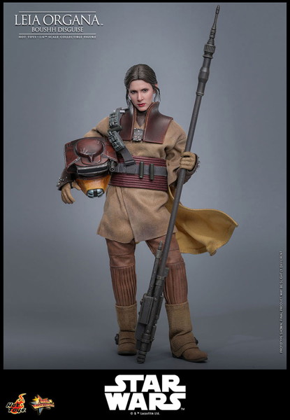 【ムービー・マスターピース】『スター・ウォーズ エピソード6/ジェダイの帰還』1/6スケールフィギュア レイア・オーガナ（ブーシ）
