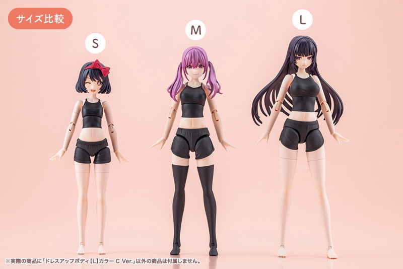 ドレスアップボディ【L】カラーC Ver.