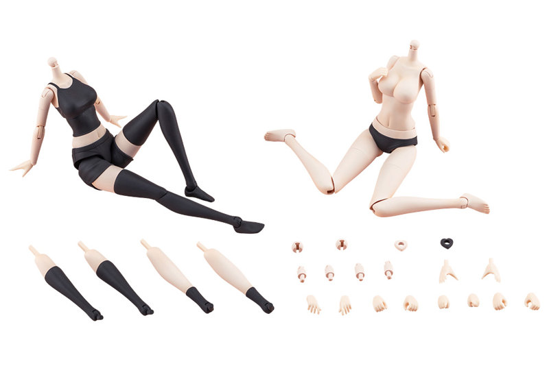 ドレスアップボディ【L】カラーC Ver.のサムネイル画像