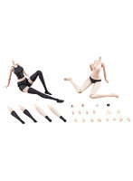 ドレスアップボディ【L】カラーC Ver.