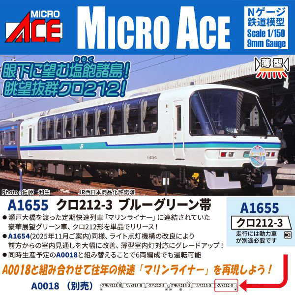 A1655 クロ212-3 ブルーグリーン帯