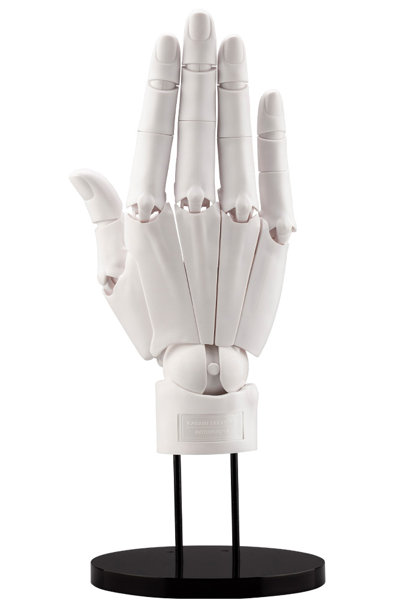 ARTIST SUPPORT ITEM ハンドモデル/R-WHITE-加々美高浩のサムネイル画像