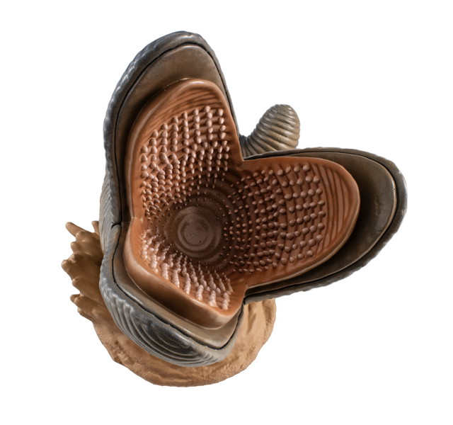 ソフビファンタスティック 『デューン/砂の惑星』 サンドワーム