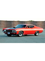 14534 1/25 70 フォードトリノコブラ