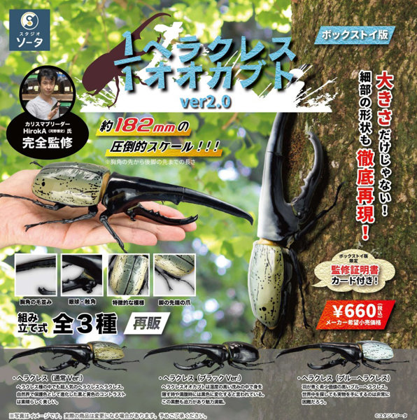 1/1ヘラクレスオオカブト ver.2.0 （全3種） 1BOX:4個入