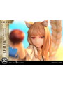 コンセプトマスターライン 「狼と香辛料 MERCHANT MEETS THE WISE WOLF」 ホロ 画像3