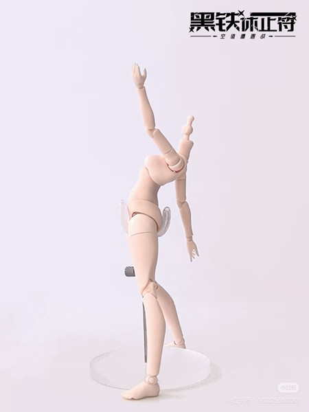 NEO EDEN TOYS 黒鉄休止符シリーズドール スペシャルデザイン 北極星（ポラリス）