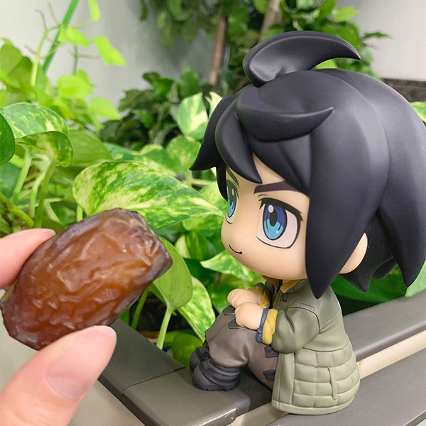 るかっぷ 『機動戦士ガンダム 鉄血のオルフェンズ』三日月・オーガス