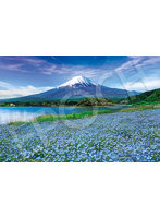 ネモフィラ咲く富士ー山梨
