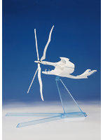 CWFシリーズ No..1 ヴェラシーラ