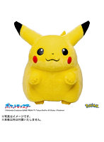 ポケモン30周年記念 おかえり！ピカチュウ1/1