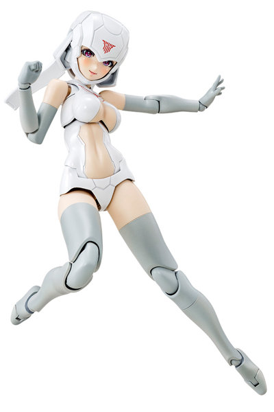 B1R-L シャーシキット スキンカラーAのサムネイル画像