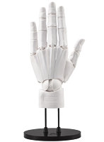 ARTIST SUPPORT ITEM ハンドモデルMEN’S/L -WHITE- 加々美高浩