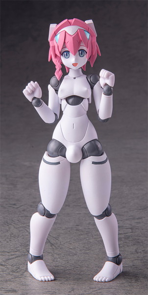 001_ポリニアン MLL2-V2エルマー