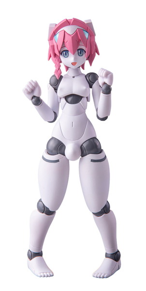 001_ポリニアン MLL2-V2エルマー