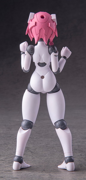 001_ポリニアン MLL2-V2エルマー