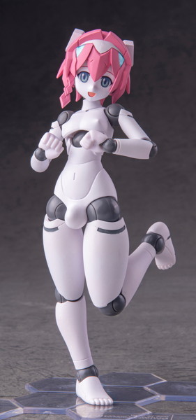 001_ポリニアン MLL2-V2エルマー