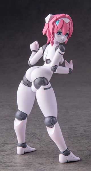 001_ポリニアン MLL2-V2エルマー