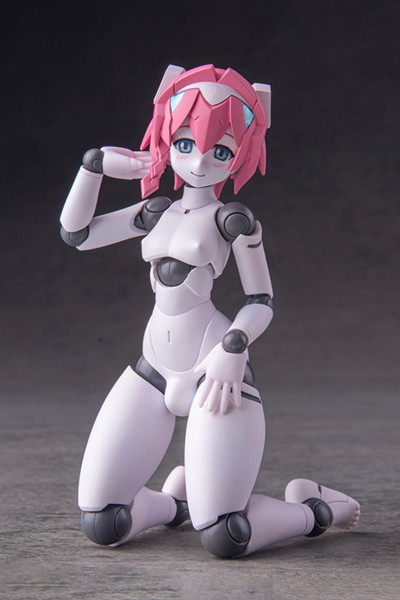 001_ポリニアン MLL2-V2エルマー