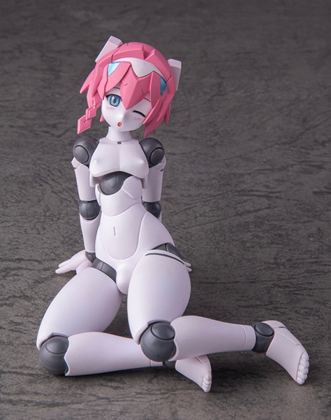 001_ポリニアン MLL2-V2エルマー