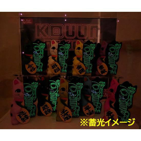 コウウンネコ50-50【PXF‐003】（再販）