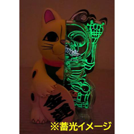 コウウンネコ50-50【PXF‐003】（再販）